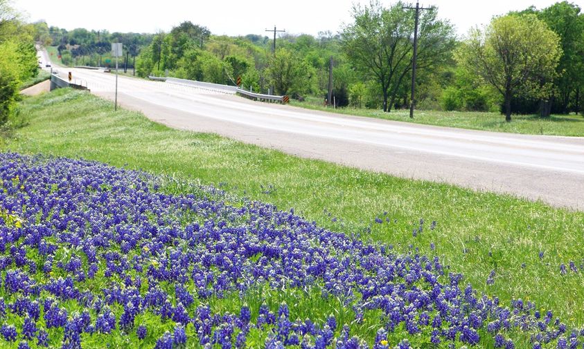 Outdoor Adventures in Collin County: From Fishing to Hiking