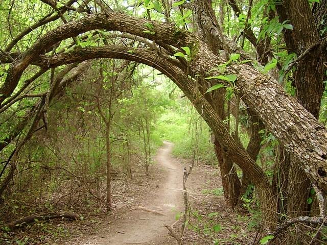 Erwin Park Hike & Bike Trail: An Inside Look at Collin County’s Outdoor Adventure