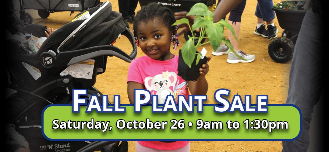 Fall Into Gardening: The CCMGA Plant Sale Experience in McKinney, TX