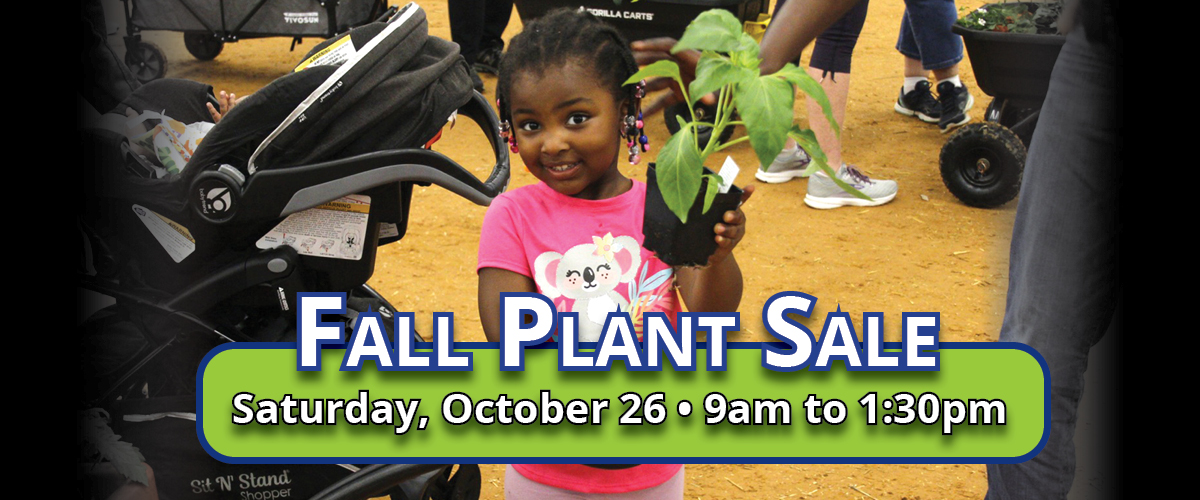 CCMGA Fall Plant Sale in McKinney, TX