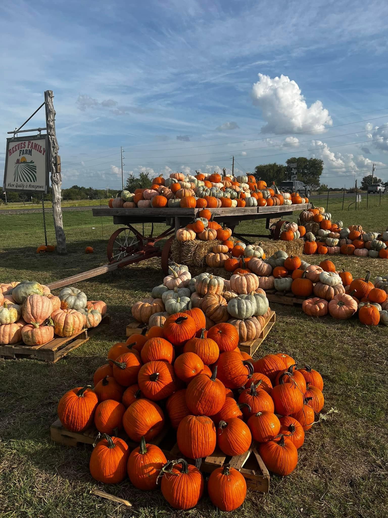 Reeves Family Farm in Princeton, TX